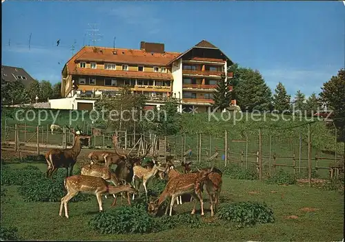 Haeusern Schwarzwald Wildpark Hotel Cafe Waldlust Kat. Haeusern