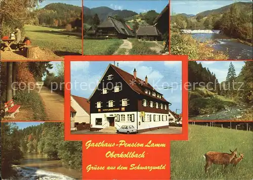 Oberkollbach Gasthaus Pension Lamm im Schwarzwald Rehe Kitz Kat. Oberreichenbach