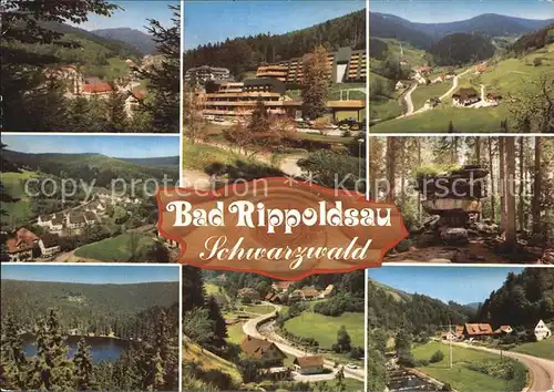 Bad Rippoldsau Schwarzwald Kurklinik und Kurmittelhaus Teilansicht Panorama  Kat. Bad Rippoldsau Schapbach