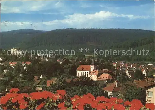 Bad Koenig Odenwald Gesamtansicht  Kat. Bad Koenig