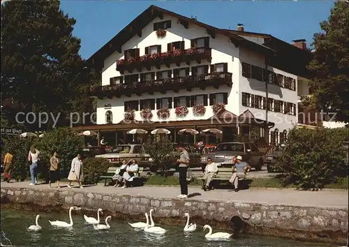 Tegernsee Hotel Zur Post und Schlosscafe Uferpromenade am See Schwaene Kat. Tegernsee