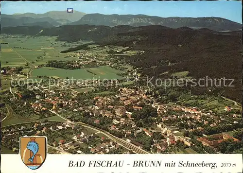 Bad Fischau Brunn Fliegeraufnahme mit Schneeberg Kat. Bad Fischau Brunn