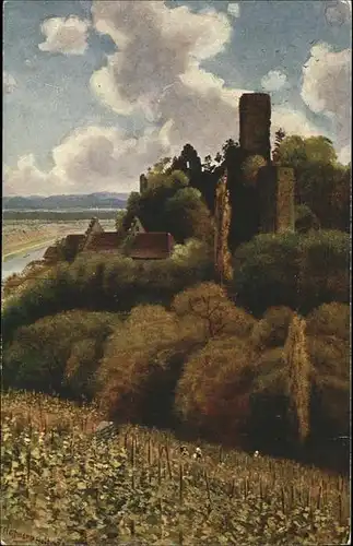 Hoffmann Heinrich Ruine Ehrenberg am Neckar / Kuenstlerkarte /