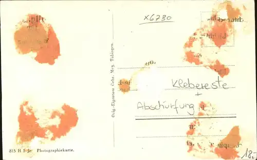 Neustadt Weinstrasse Ortsansicht mit Kirche Schloss / Neustadt an der Weinstr. /NeuWeinstrasse Stadtkreis