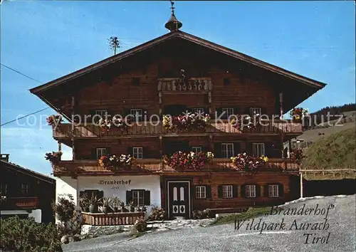 Aurach Kitzbuehel Wildpark Und Brandnerhof  Kat. Aurach bei Kitzbuehel