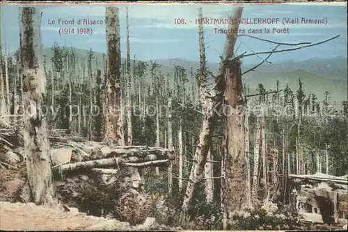 Hartmannswillerkopf Tranchees dans la Foret Le Front d Alsace 1914 1918 Grande Guerre Kat. Hartmannswiller