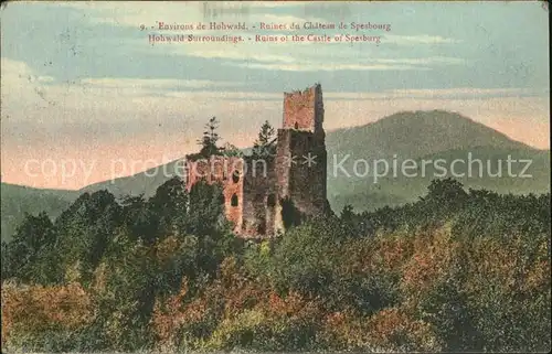 Andlau Ruines du Chateau de Spesbourg Kat. Andlau