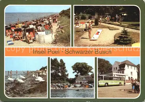 Insel Poel Schwarzer Busch Minigolf Strand Reisebus Kat. Insel Poel