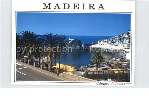 Camara de Lobos Hafen Bucht Kat. Madeira