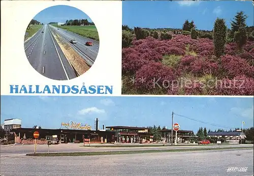 Bastad Hallandsasen Kat. Schweden