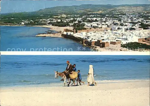 Hammamet Strand Esel Panorama Kat. Tunesien