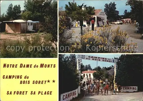 Notre Dame de Monts Camping du Bois Soret Details Kat. Notre Dame de Monts