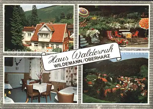 Wildemann Haus Waldesruh Kat. Wildemann Harz