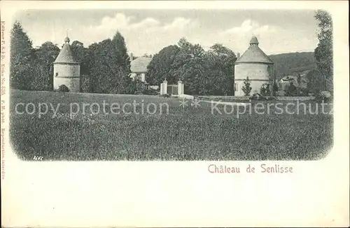 Senlisse Chateau Schloss Kat. Senlisse
