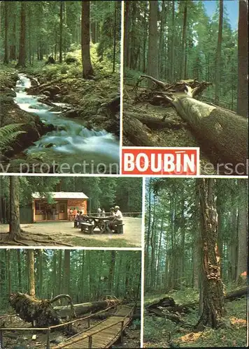 Boubin Prachatice Boehmerwald Waldpartien Kat. Tschechische Republik