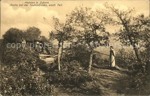 Hohbarr Partie bei der Teufelsbruecke Kat. Saverne