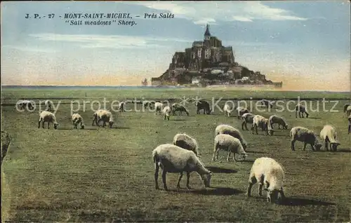 Mont Saint Michel Salt meadows Sheep Schafherde Kat. Pontorson