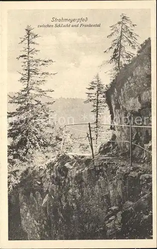 Col de la Schlucht Strohmeyerpfad Sentier des Roches les Vosges Kat. Gerardmer