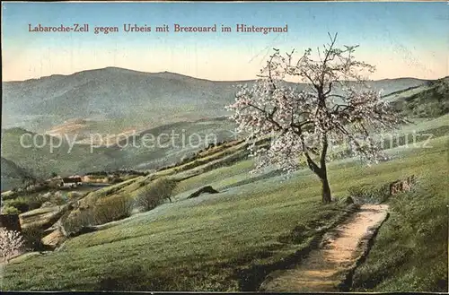 Labaroche gegen Urbeis mit Brezouard im Hintergrund Baumbluete Vogesen Kat. Labaroche Zell
