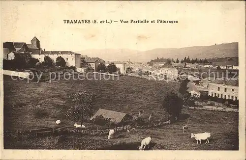 Tramayes Vue partielle et paturages Kat. Tramayes