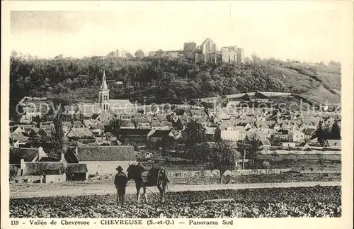 Chevreuse Panorama Sud Vallee de Chevreuse Landwirtschaft Pferdeegge Kat. Chevreuse