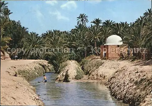 Tozeur Fluss Marabutsgrab  Kat. Tunesien