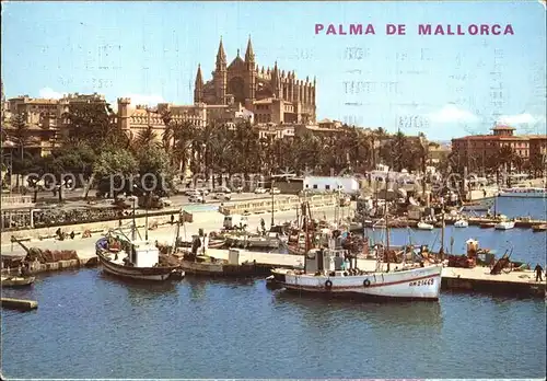 Palma de Mallorca Kathedrale Kat. Palma de Mallorca