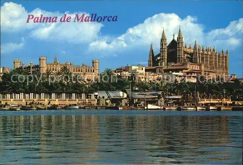 Palma de Mallorca Kathedrale La Lonja Kat. Palma de Mallorca