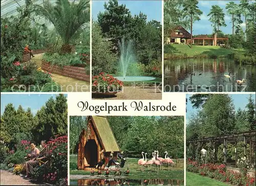 Walsrode Lueneburger Heide Vogelpark Kat. Walsrode