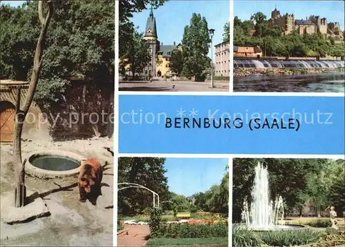 Bernburg Saale Baerenfreigehege am Schloss Kurhaus Schloss Rosengarten Marx Engels Platz Kat. Bernburg