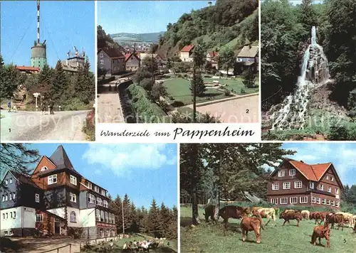 Pappenheim Thueringen Wanderziele Grosser Inselberg Am Platz der DSF Trusetaler Wasserfall Spiessberghaus Kat. Floh Seligenthal