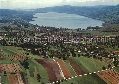 Hallwilersee Fliegeraufnahme Kat. Hallwil