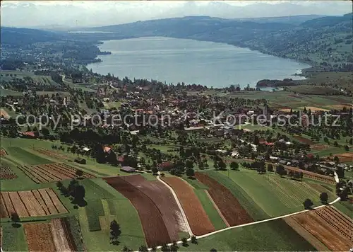 Hallwilersee Fliegeraufnahme  Kat. Hallwil