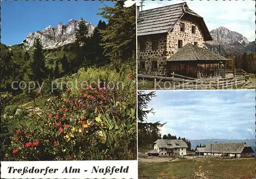 Nassfeld Tressdorfer Alm Naturfreundehaus mit Gartnerkofel Kat. Oesterreich