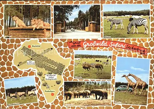 Stukenbrock Grosswild Safari Loewen Zebras Antilopen Elefanten Giraffen Kat. Schloss Holte Stukenbrock