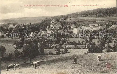 Nogent en Bassigny Vue panoramique de Nogent le Pas des vaches