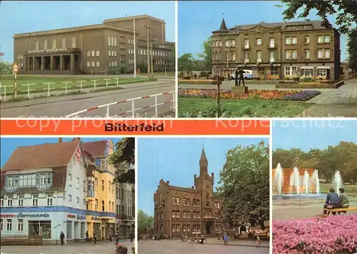 Bitterfeld Kurpalast Hotel Central Walther Rathenau Strasse Rathaus Naherholungsgebiet Gruene Lunge Kat. Bitterfeld