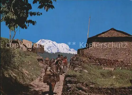 Nepal Typische Landschaft mit Bauern Kat. Nepal