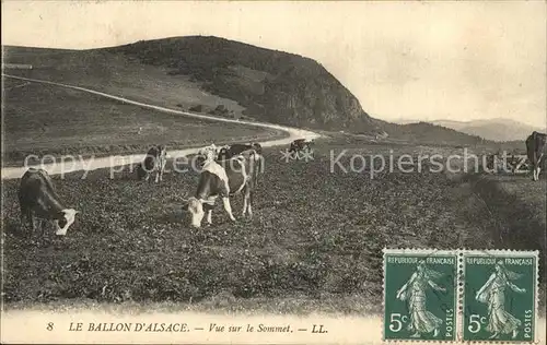 Ballon d Alsace Vue sur le Sommet des vaches Kat. Sewen