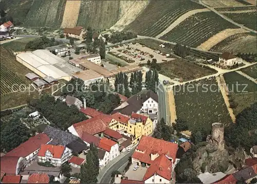 Bingen Rhein Fliegeraufnahme Burg Layen Kat. Bingen am Rhein