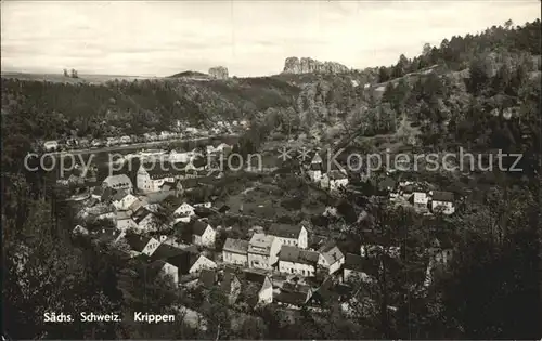 Krippen Bad Schandau Ortsansicht  Kat. Bad Schandau