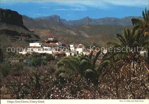 Gran Canaria Fataga  Kat. Spanien