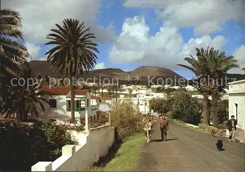 Haria Stadtansicht Kat. Lanzarote Kanarische Inseln