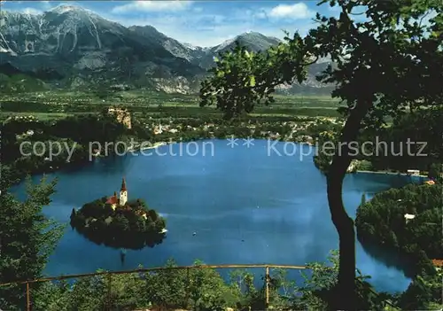 Bled Panorama