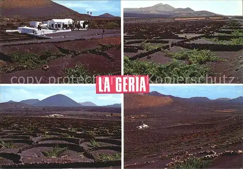 Lanzarote Kanarische Inseln La Geria Weinberge