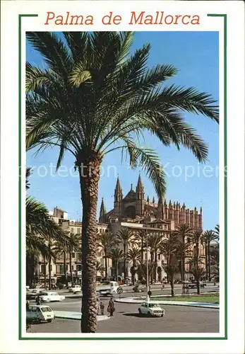 Palma de Mallorca Cathedral Kat. Palma de Mallorca