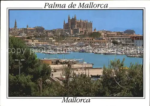 Palma de Mallorca Cathedral Hafen  Kat. Palma de Mallorca