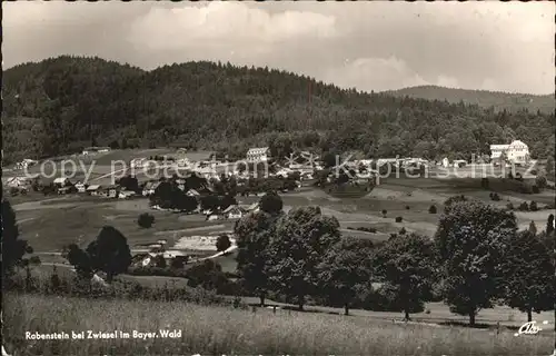 Rabenstein Zwiesel Panorama Kat. Zwiesel