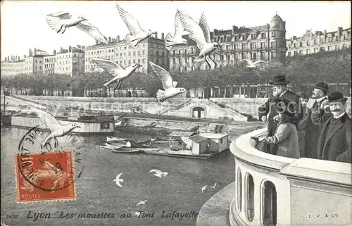 Lyon France Les mouettes au Pont Lafayette Kat. Lyon