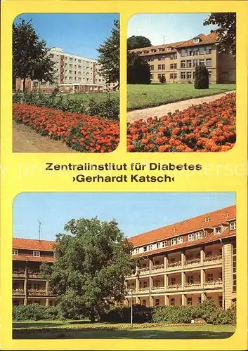 Karlsburg Greifswald Zentralinstitut fuer Diabetes Gerhardt Katsch Kat. Karlsburg Greifswald